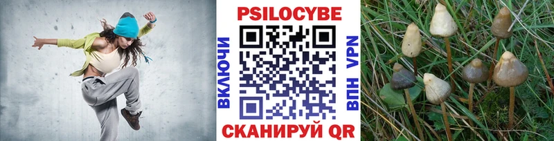 Галлюциногенные грибы Psilocybe Шацк
