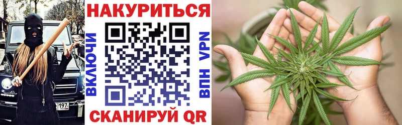 даркнет сайт Шацк Каннабис ГИДРОПОН